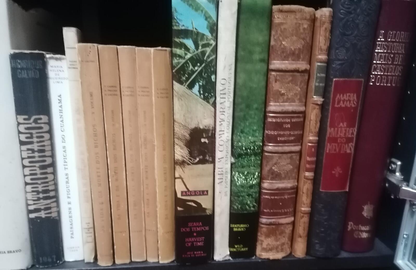 Lombadas de livros clássicos e antigos