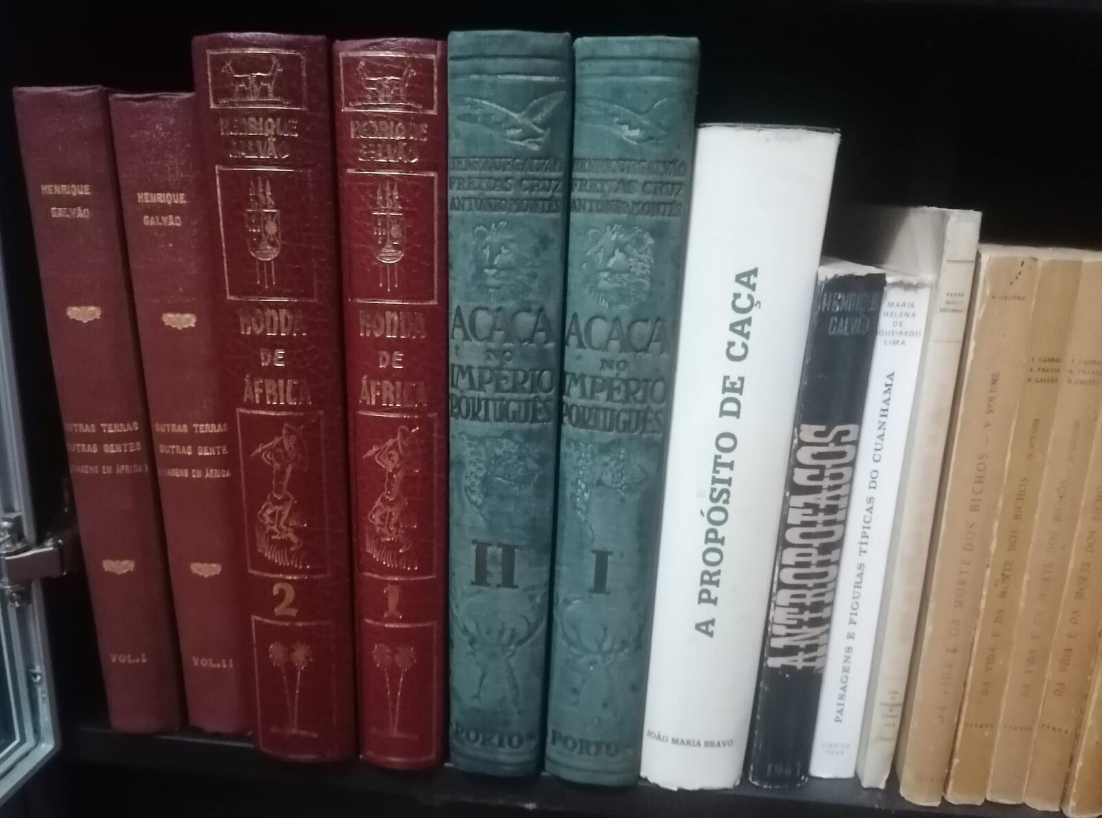 Livros antigos de diferentes encadernações