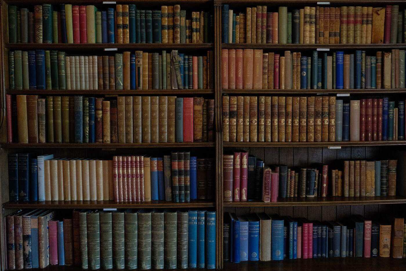 Prateleiras de uma biblioteca particular